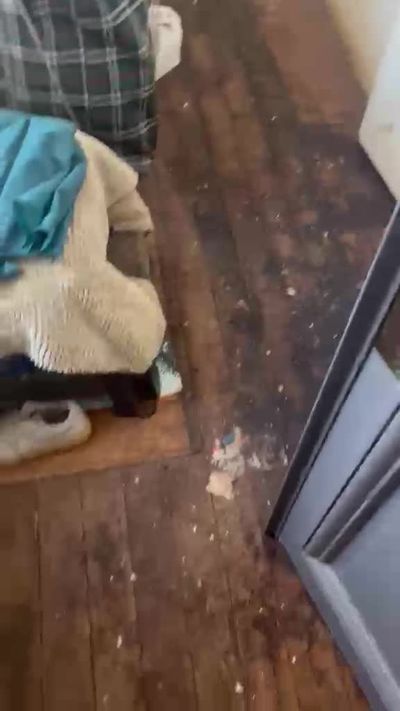 Entrée du logement et couloir : plancher recouvert, sanitaires inutilisables.